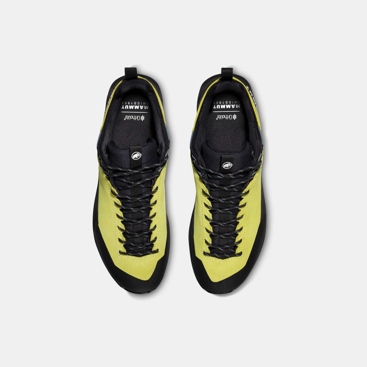 Mammut Alnasca IV Low LTH Men