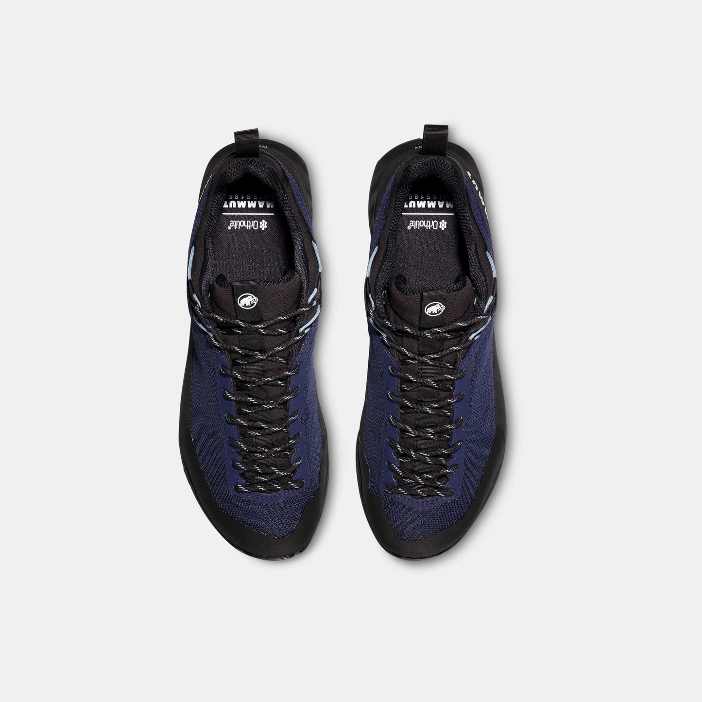 Mammut Alnasca IV Low GTX