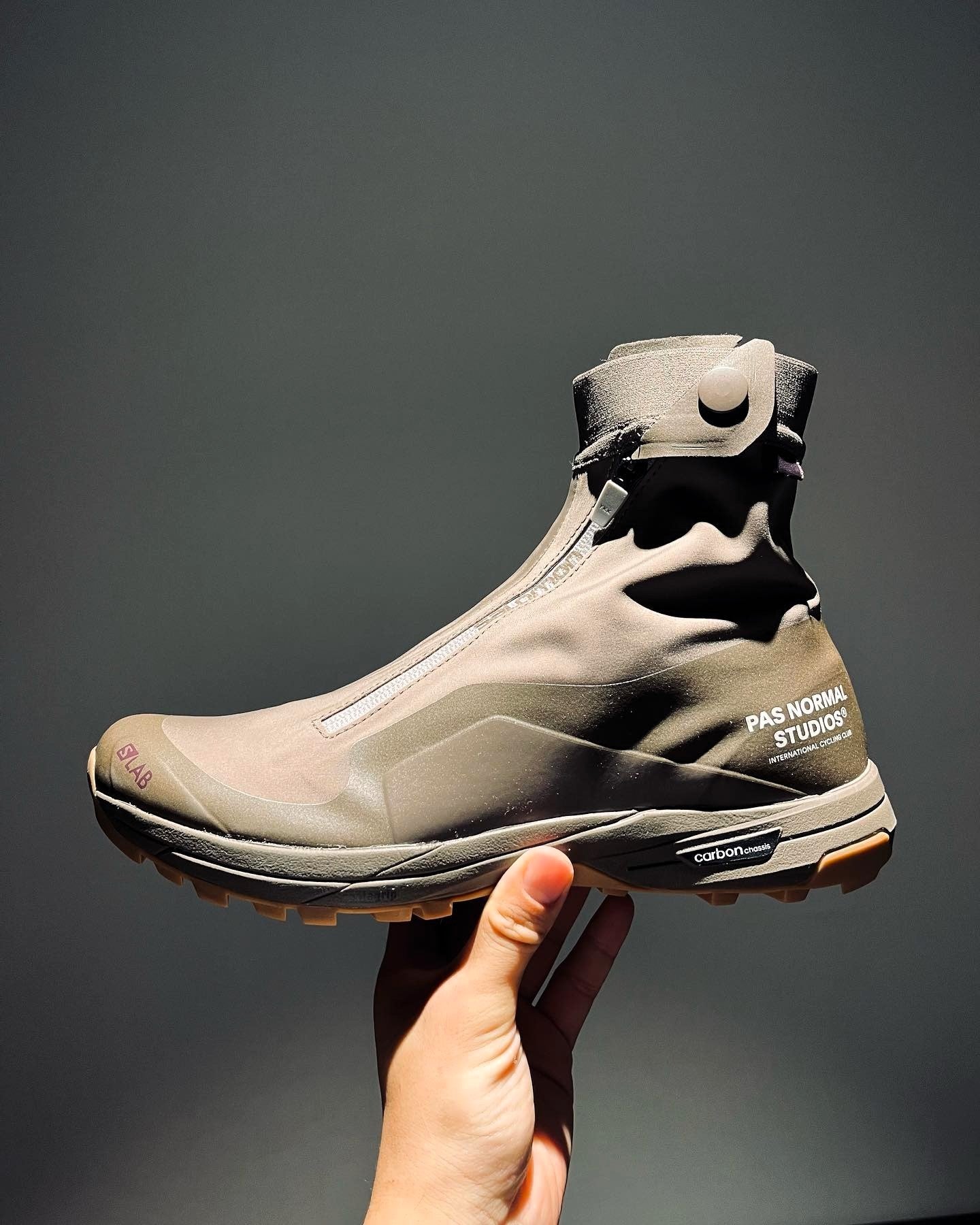 Salomon XA Alpine 2 Advanced
