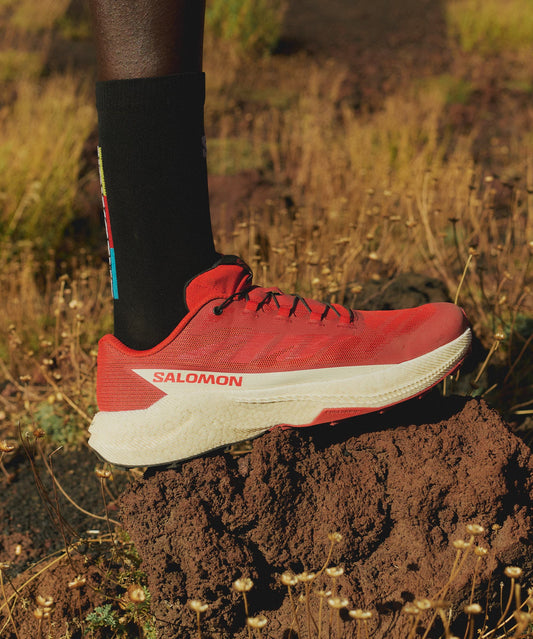 Salomon Pulsar Men