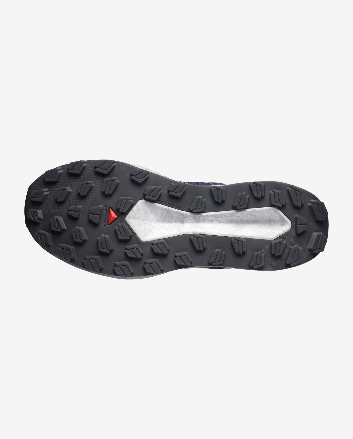 Salomon Vision