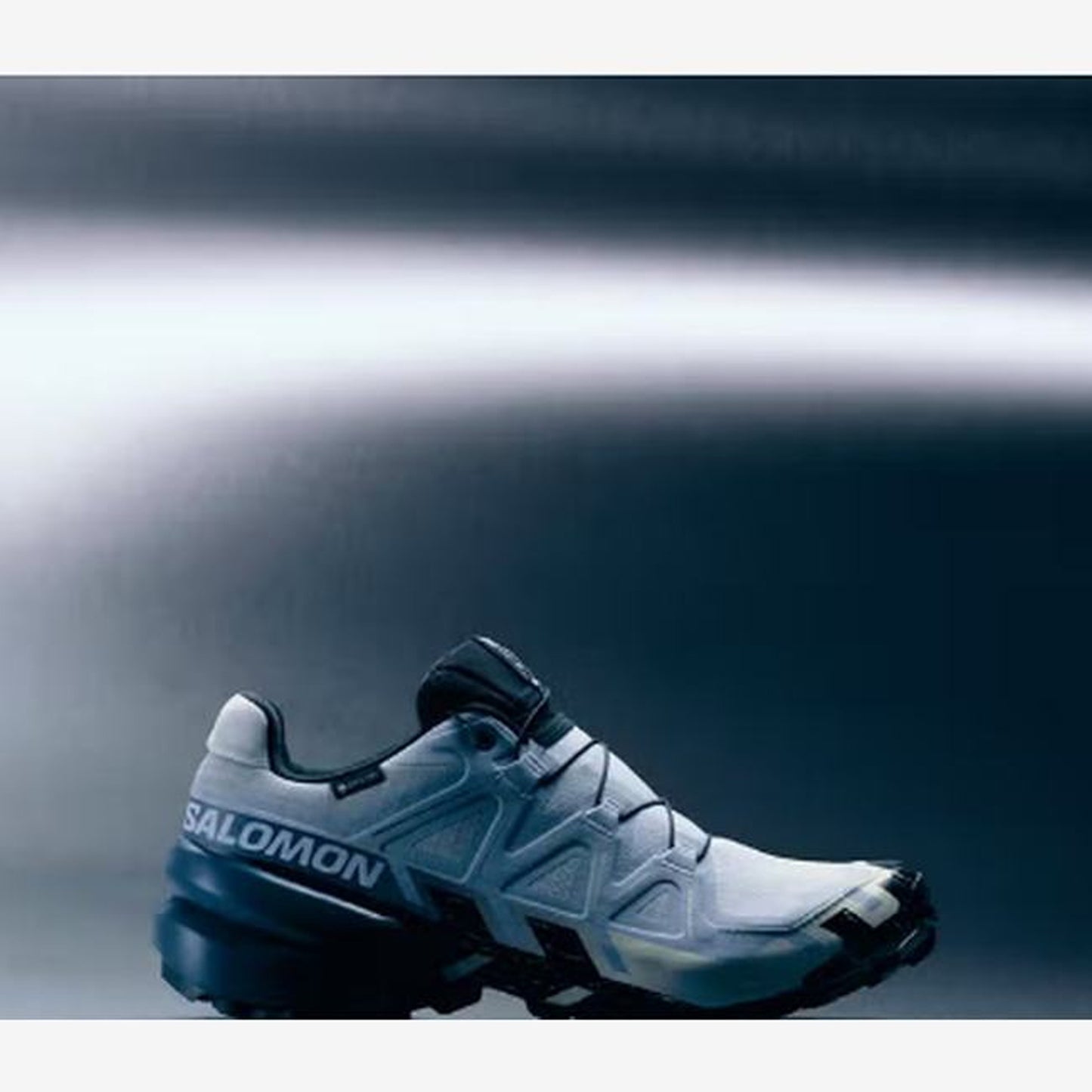 Salomon Speedcross 6 GORE-TEX Storm Men - alternate angle - Navy