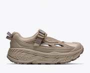 Archival Taupe / Archival Taupe