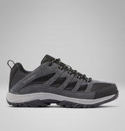 Shark, Columbia Grey