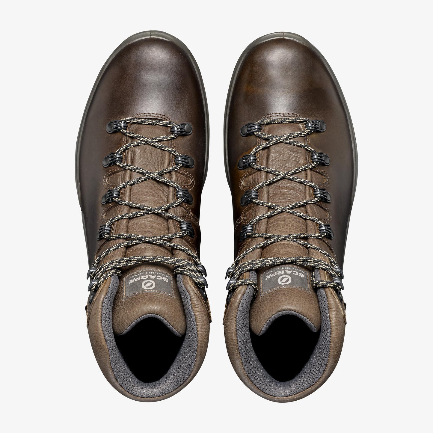 Scarpa Terra GTX