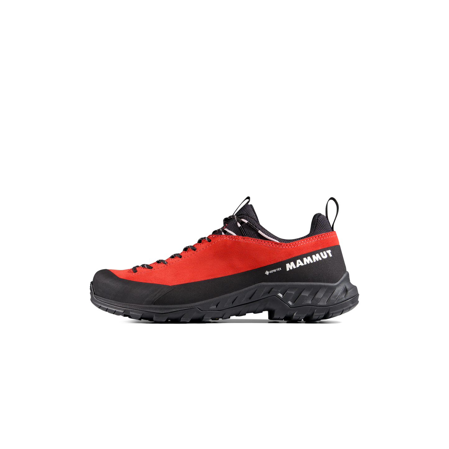 Mammut Alnasca IV Low LTH GTX