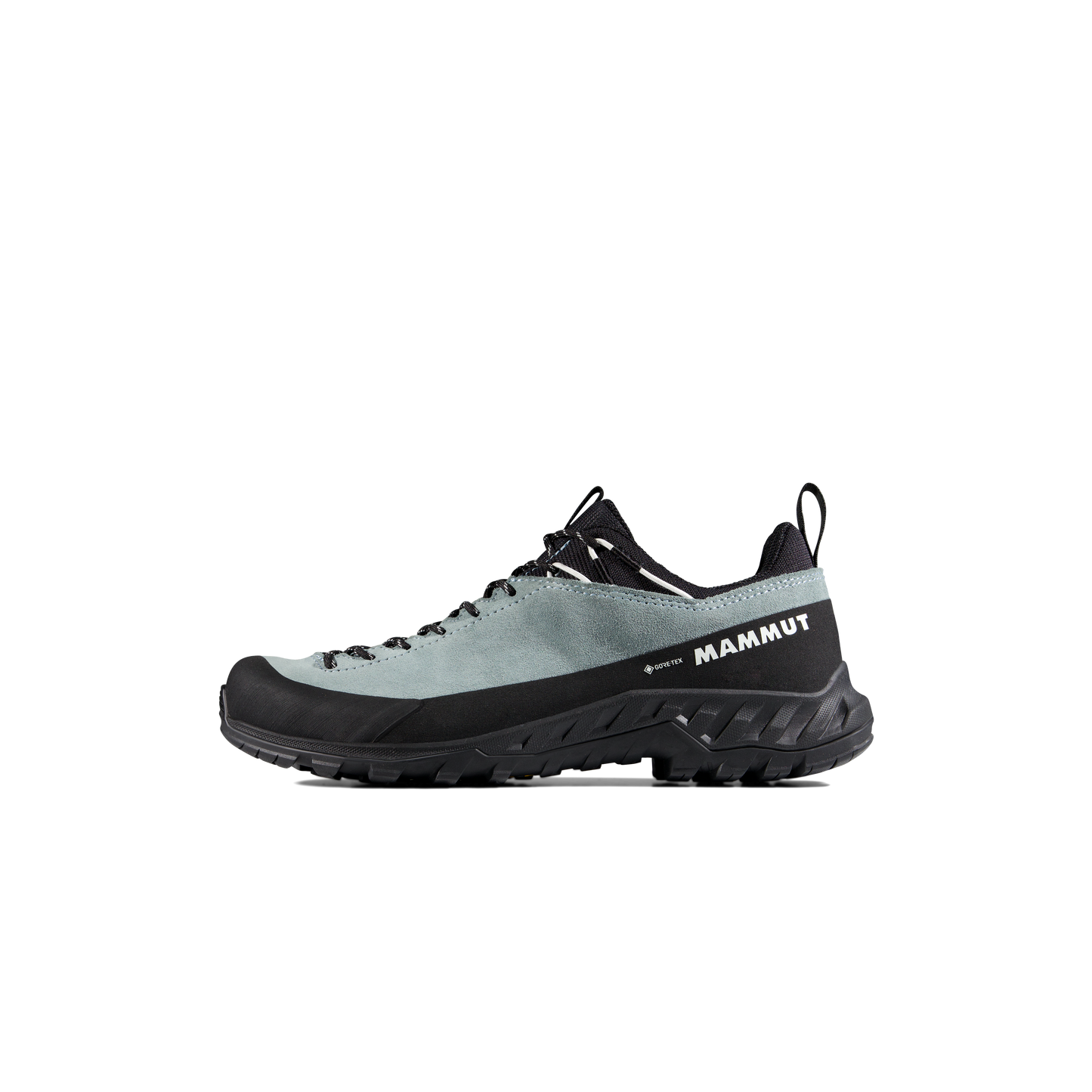 Mammut Alnasca IV Low LTH GTX Women