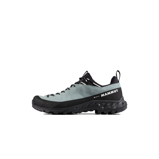 Mammut Alnasca IV Low LTH GTX Women