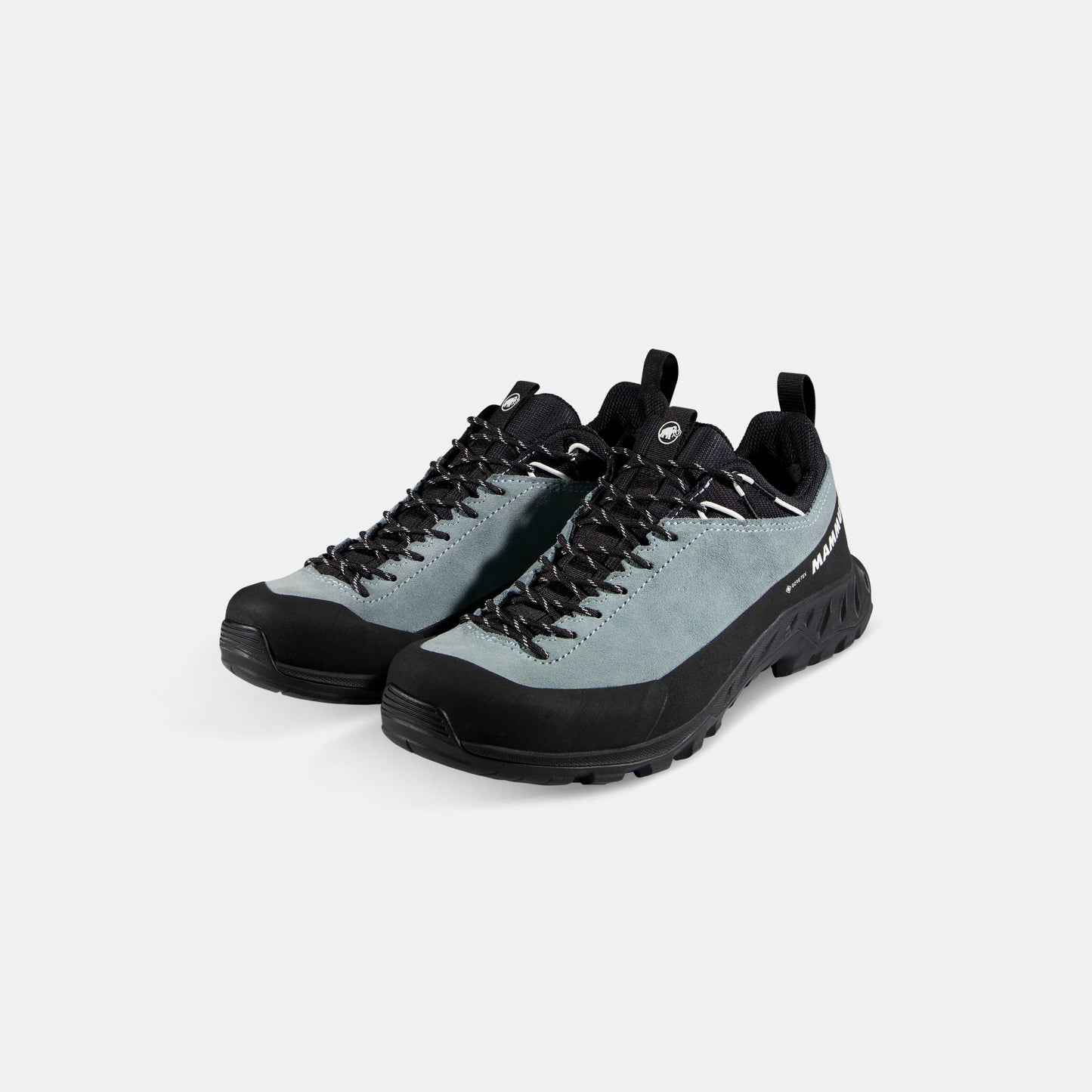 Mammut Alnasca IV Low LTH GTX Women