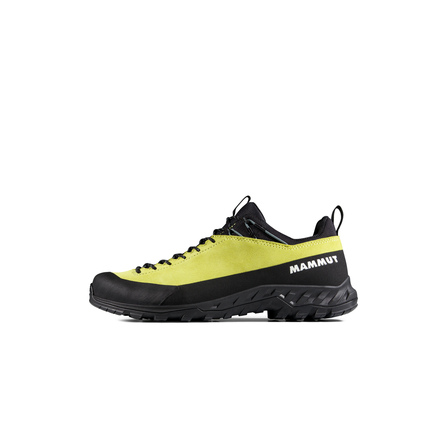Mammut Alnasca IV Low LTH Men