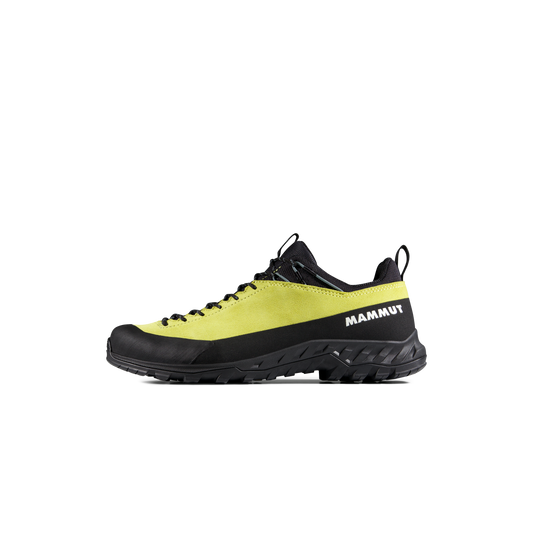 Mammut Alnasca IV Low LTH Men