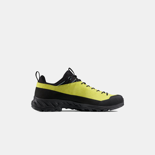 Mammut Alnasca IV Low LTH Men