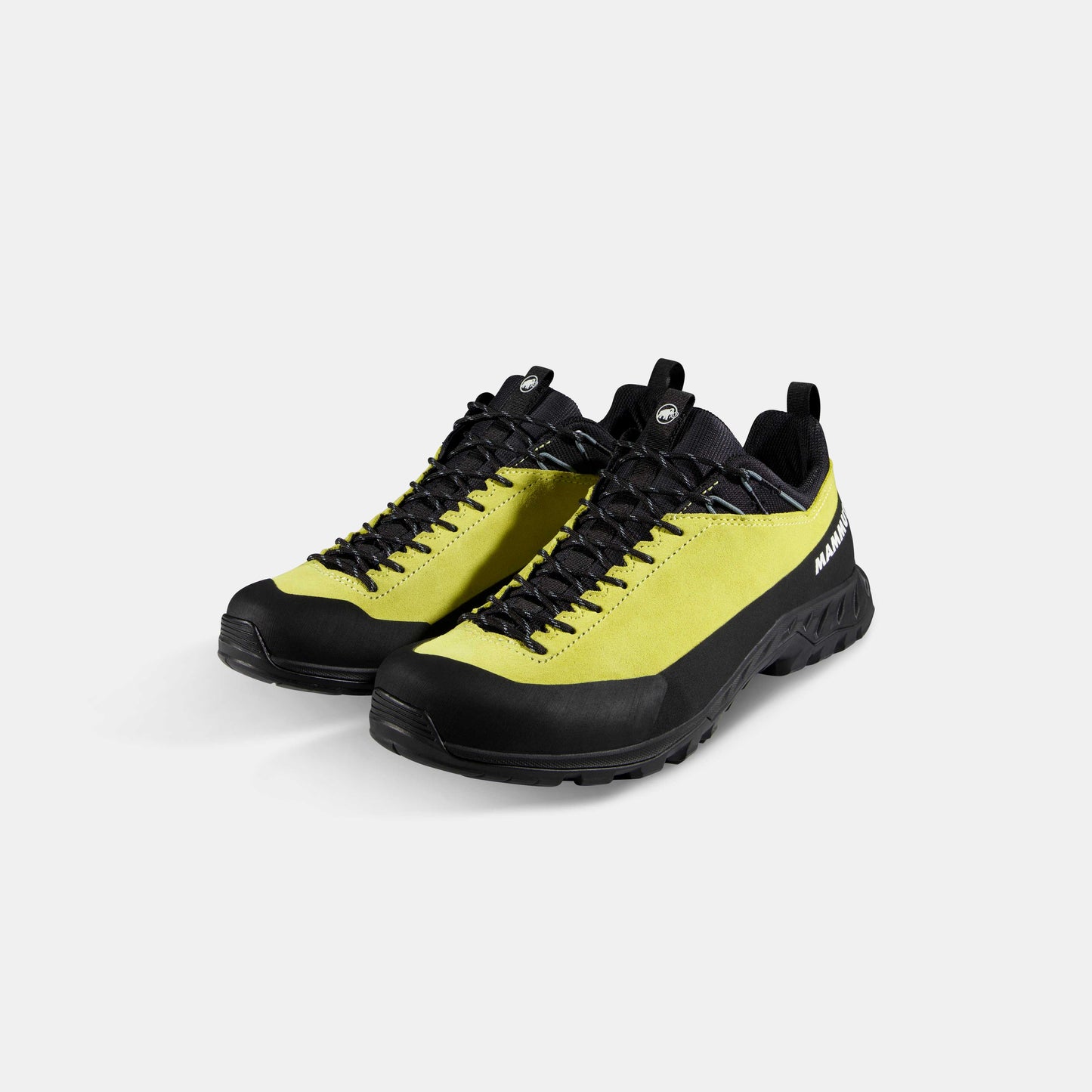 Mammut Alnasca IV Low LTH Men