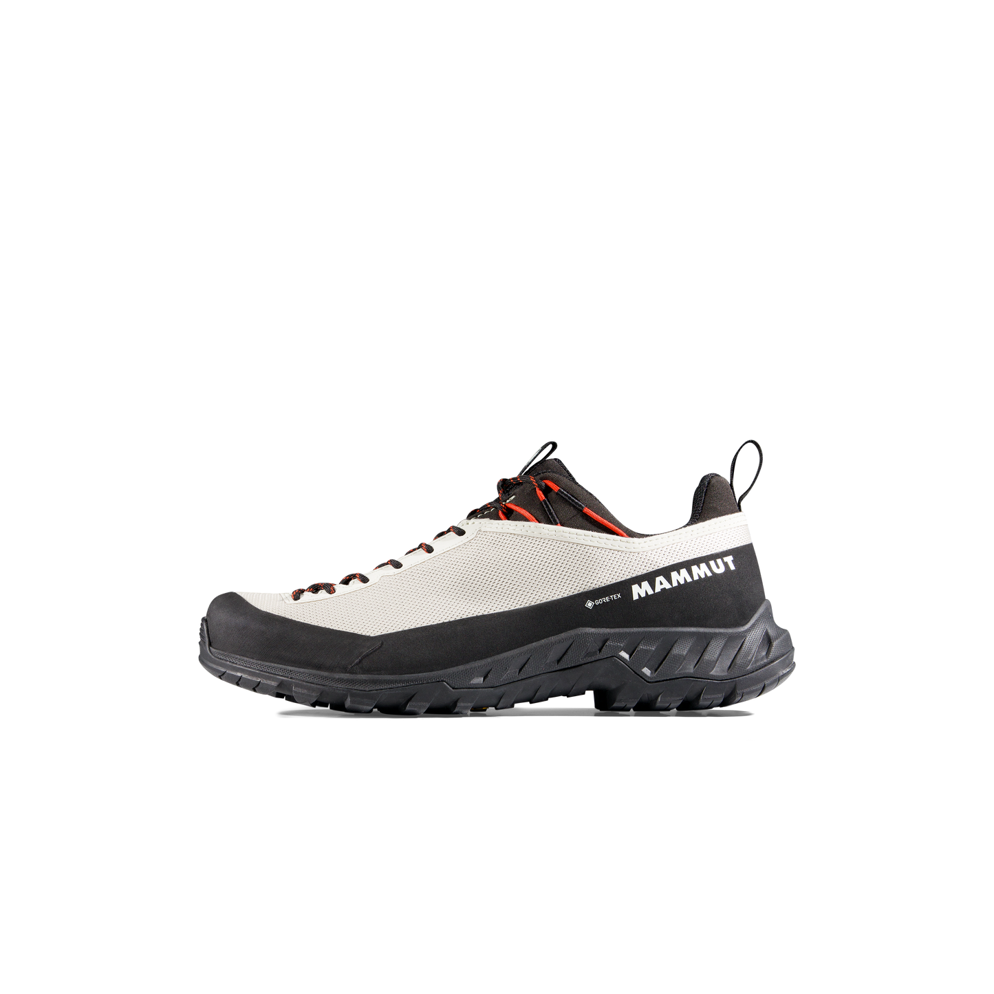 Mammut Alnasca IV Low GTX Women