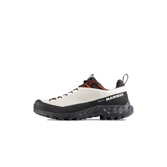 Mammut Alnasca IV Low GTX Women