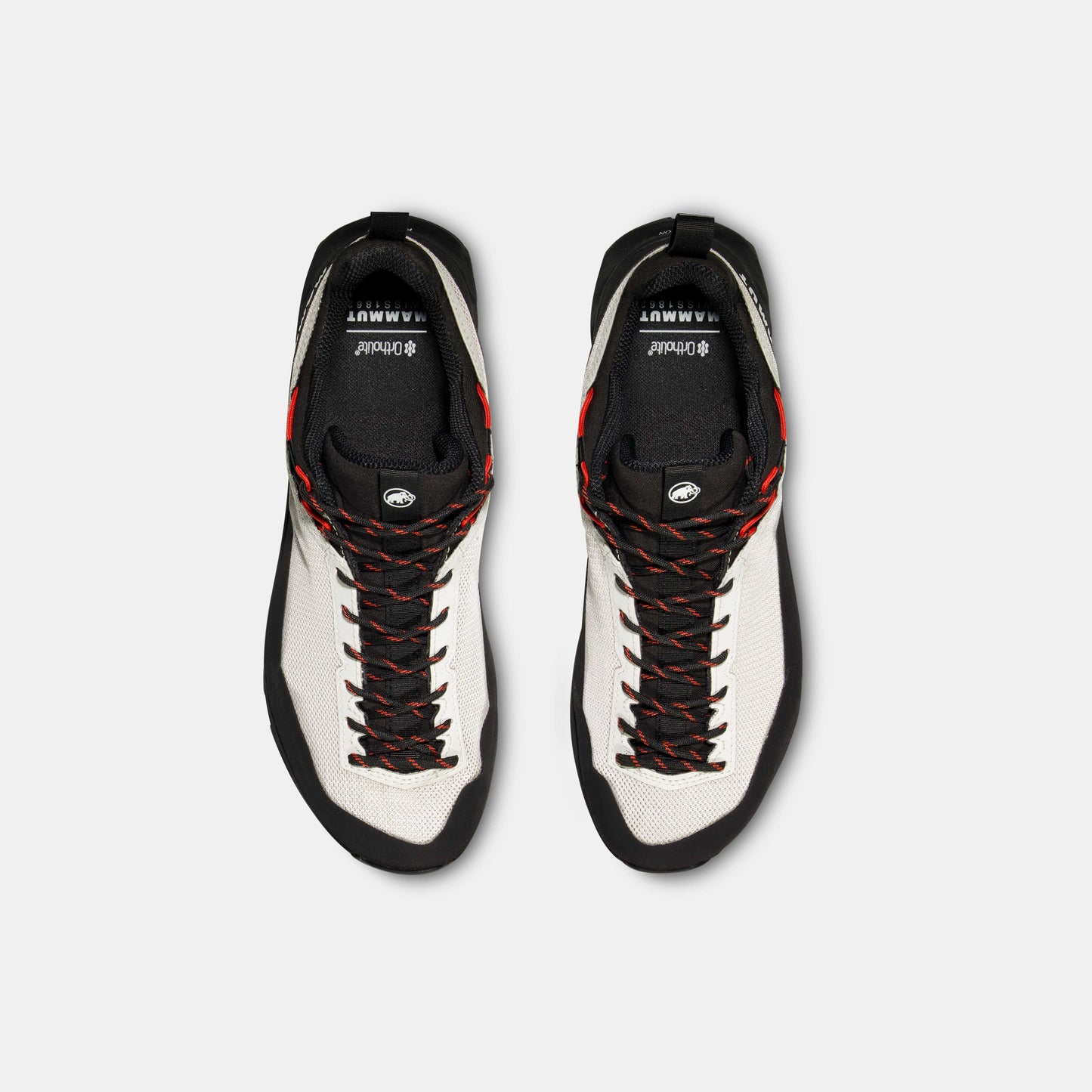Mammut Alnasca IV Low GTX Women