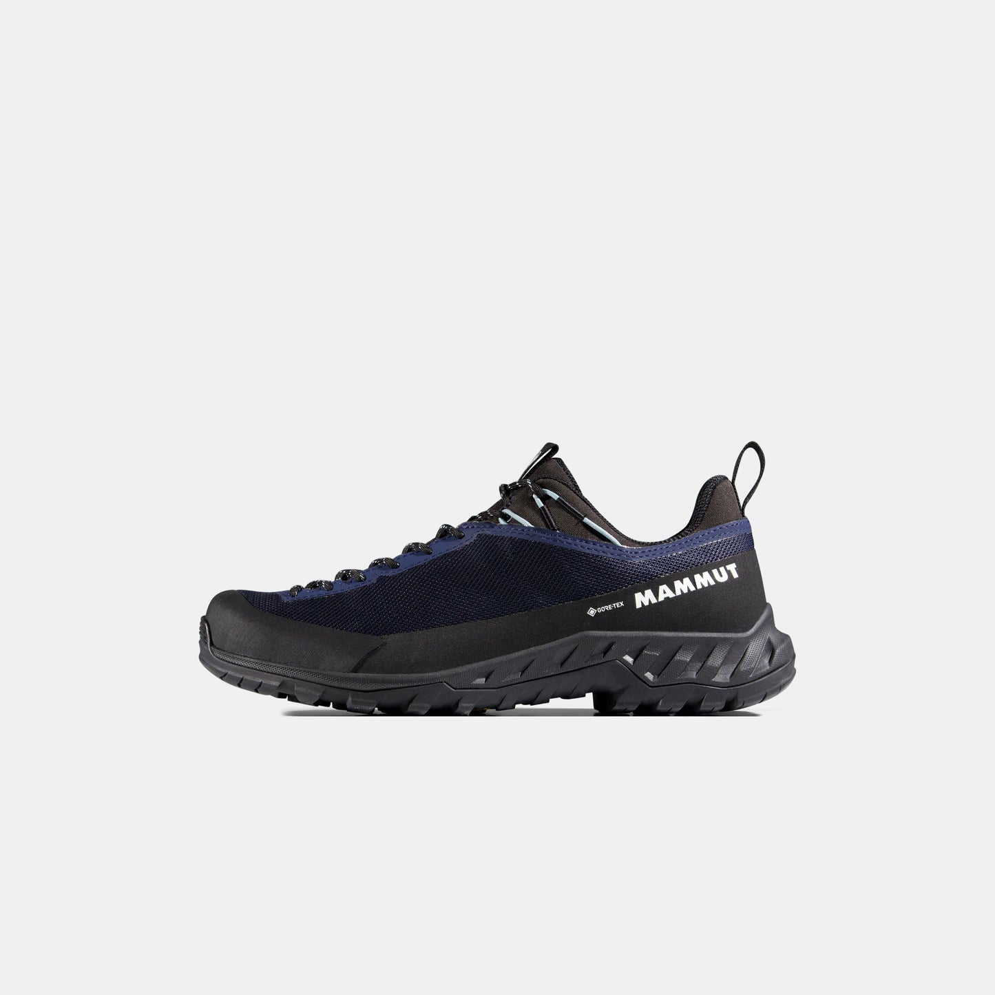 Mammut Alnasca IV Low GTX