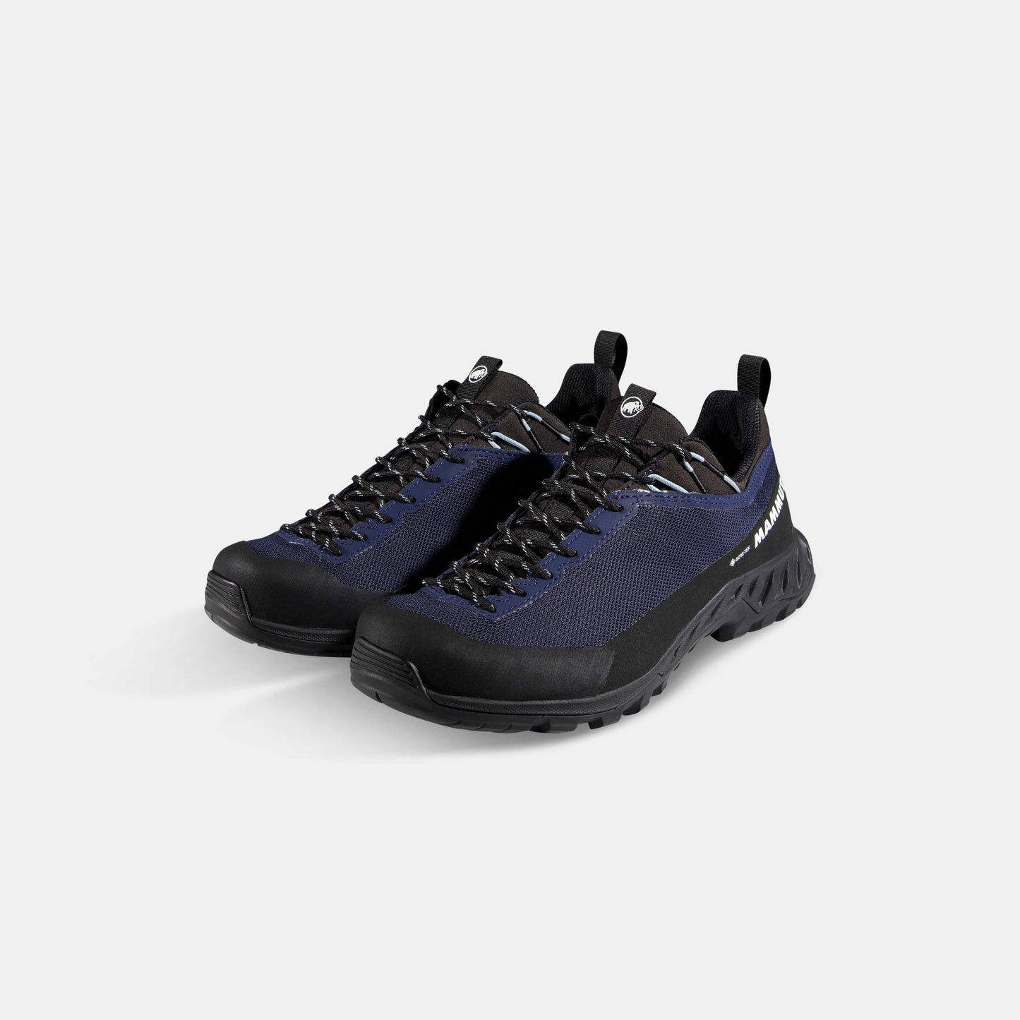 Mammut Alnasca IV Low GTX
