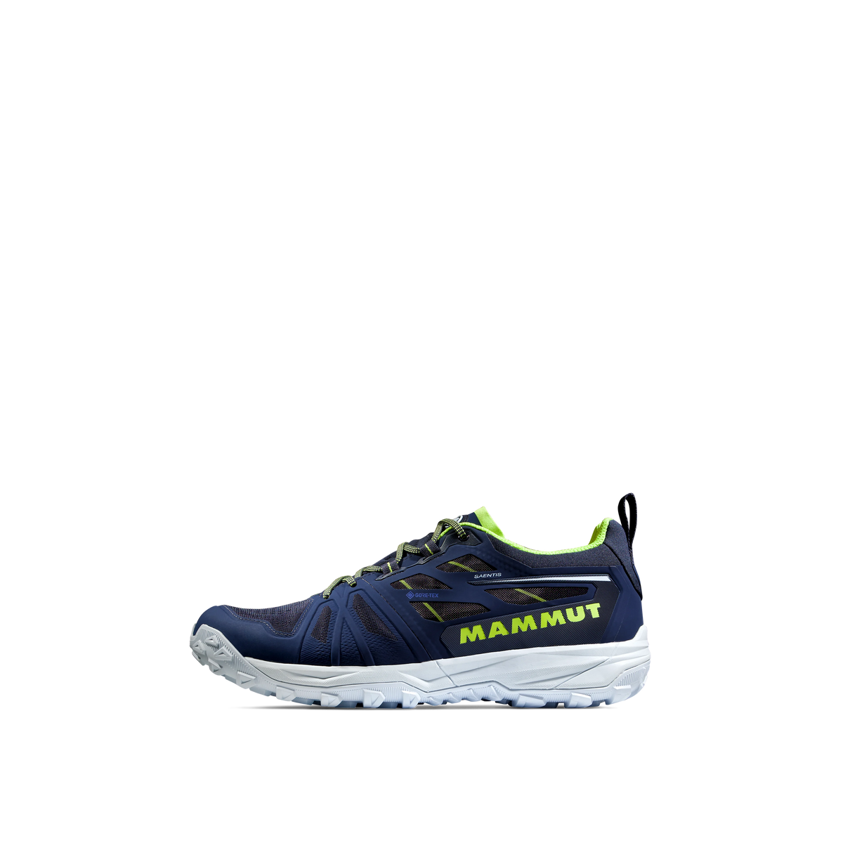 Mammut Saentis Low GTX Men