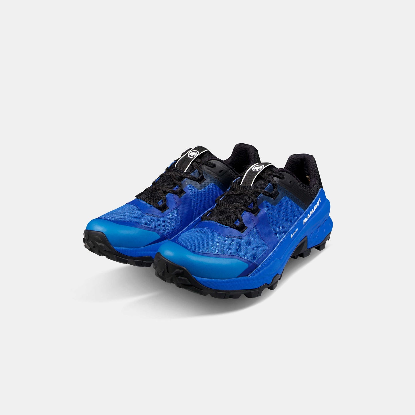 Mammut Girun II Low GTX Men