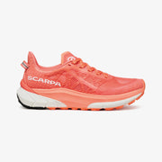 Flamingo Orange