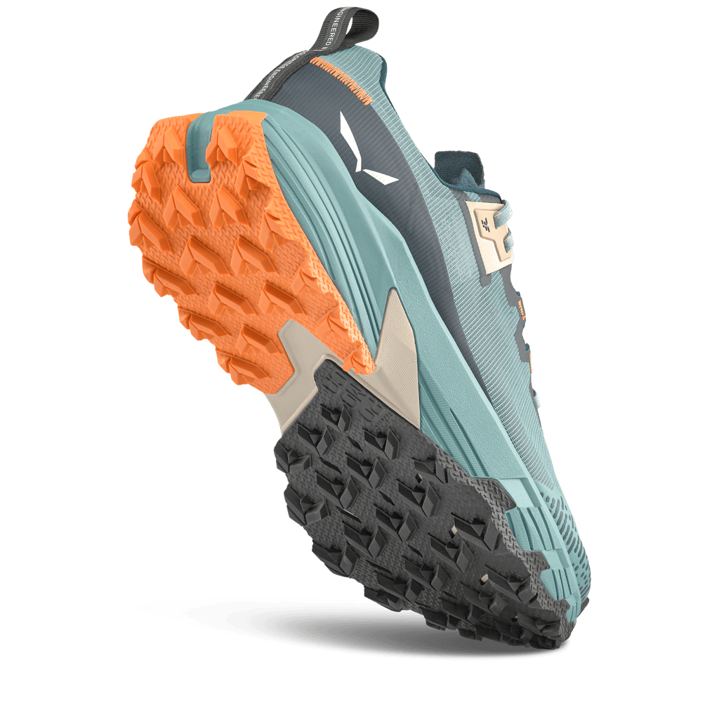 Salewa Pedroc 2 Shoe Max Men