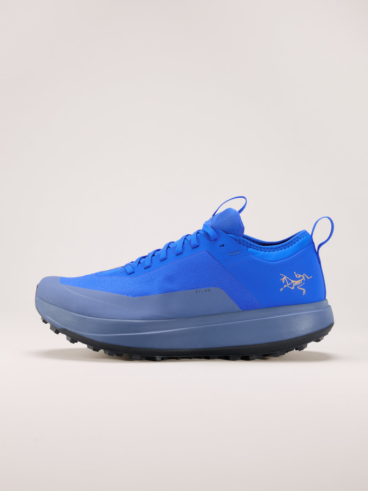 Arc'teryx Sylan GTX Shoe Men's product view 1 — Fluidity/Lt Black Sapphire
