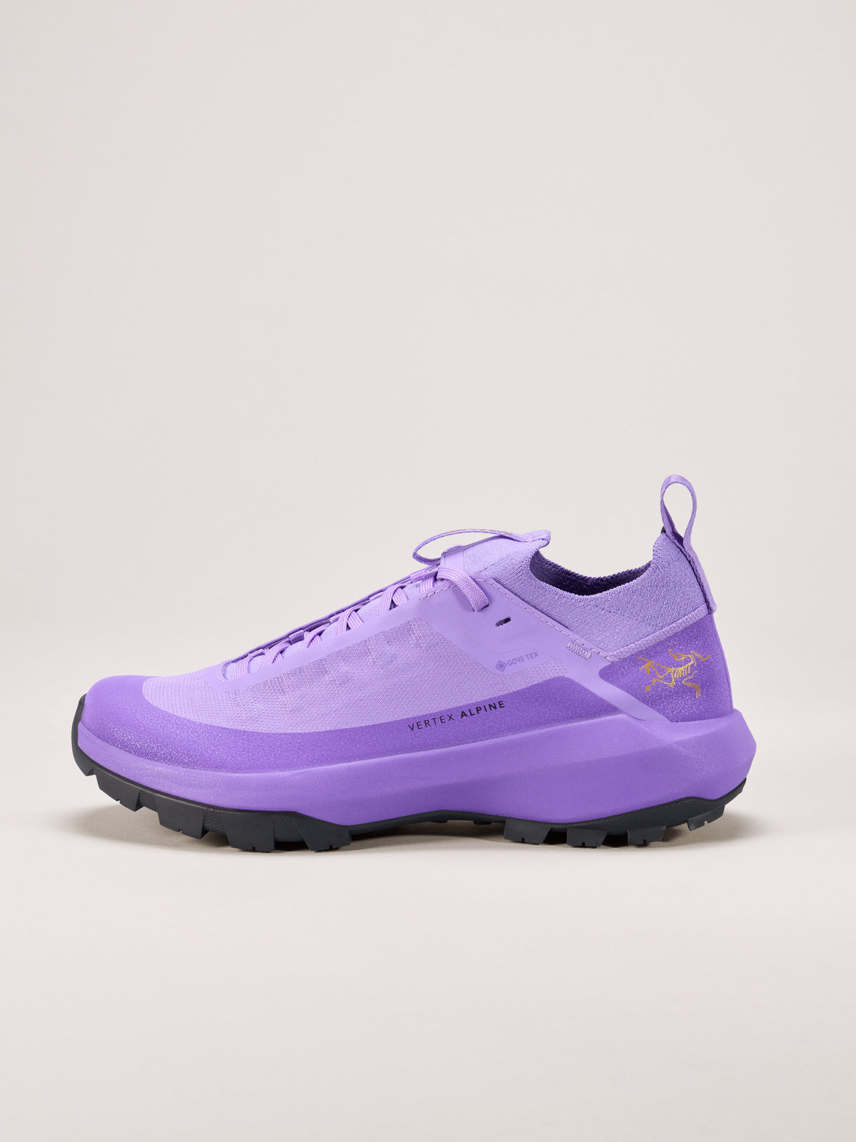 Arc'teryx Vertex Alpine GTX Shoe Women's product view 1 — Aster/Dk Aster