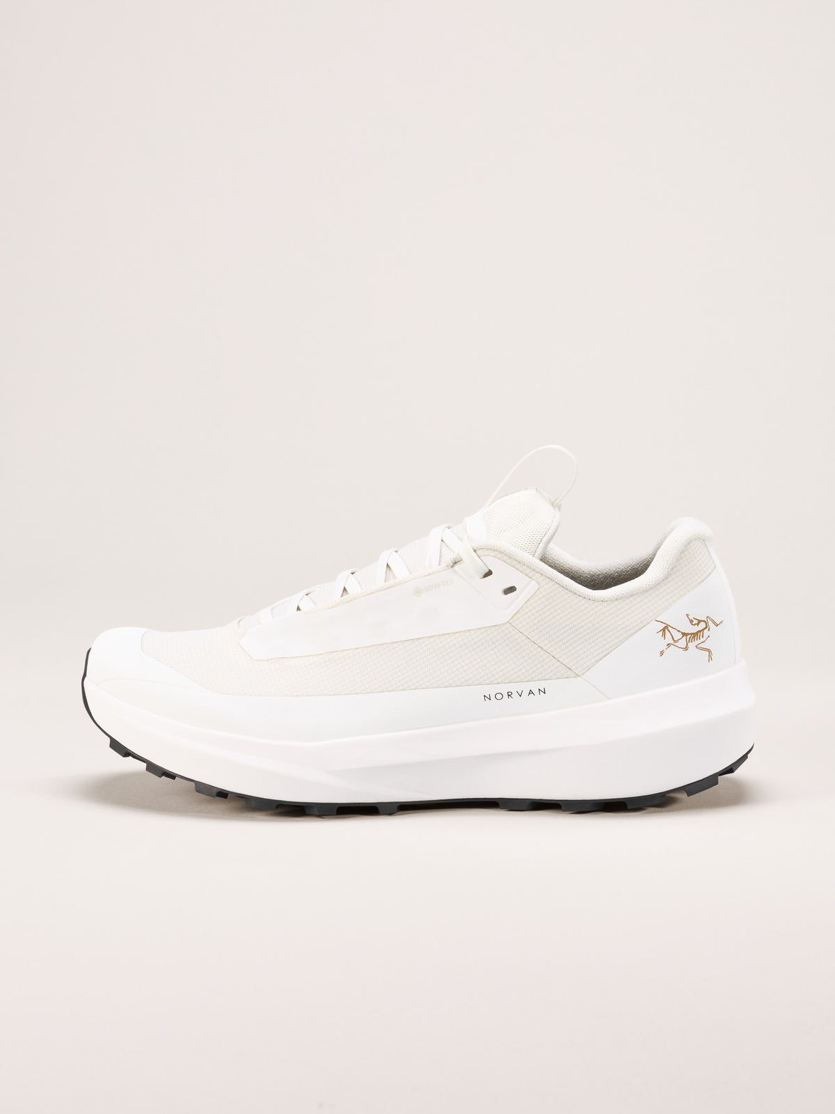 Arc'teryx Norvan LD 4 GTX Shoe Women's product view 1 — Arctic Silk/Arctic Silk