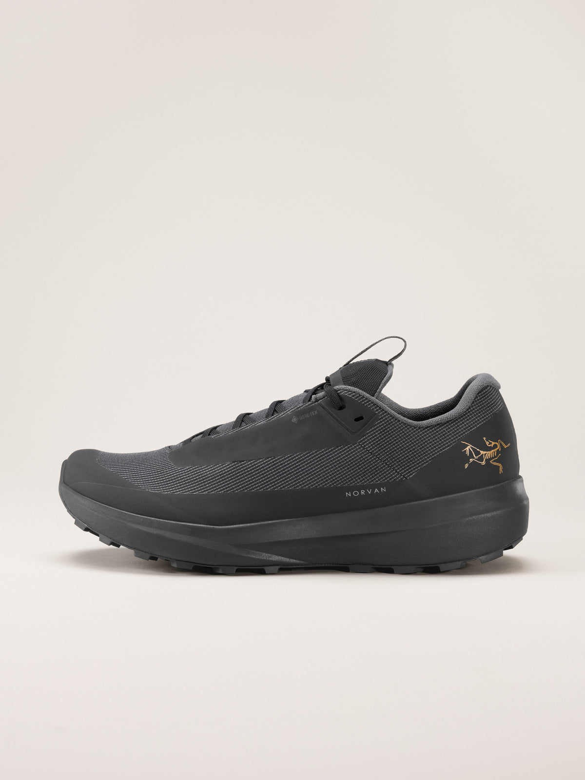 Arc'teryx Norvan LD 4 GTX Shoe Women's product view 1 — Black/Black