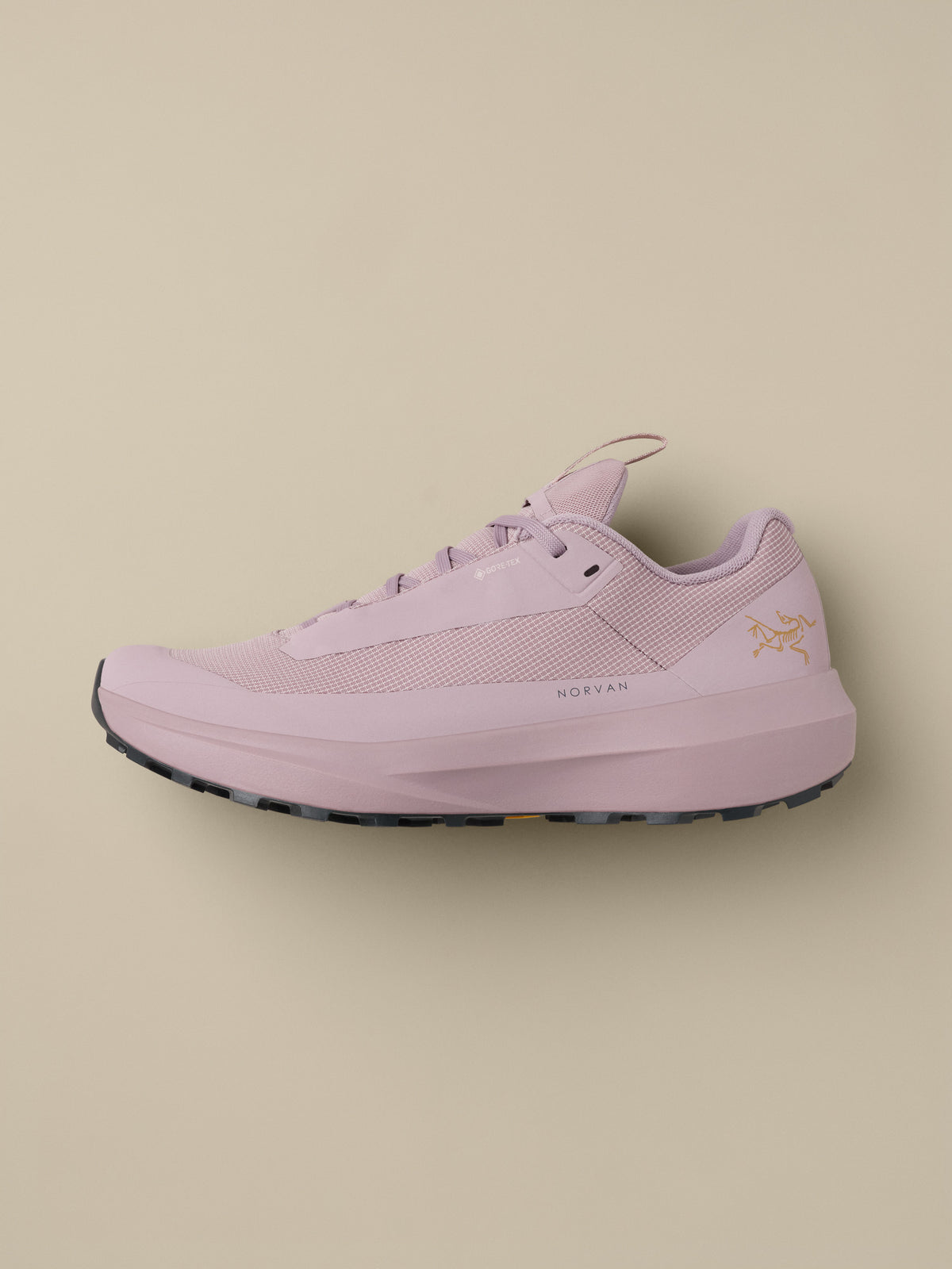 Arc'teryx Norvan LD 4 GTX Shoe Women's product view 1 — Dk Alpine Rose/Dk Alpine Rose
