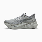 Gray Echo