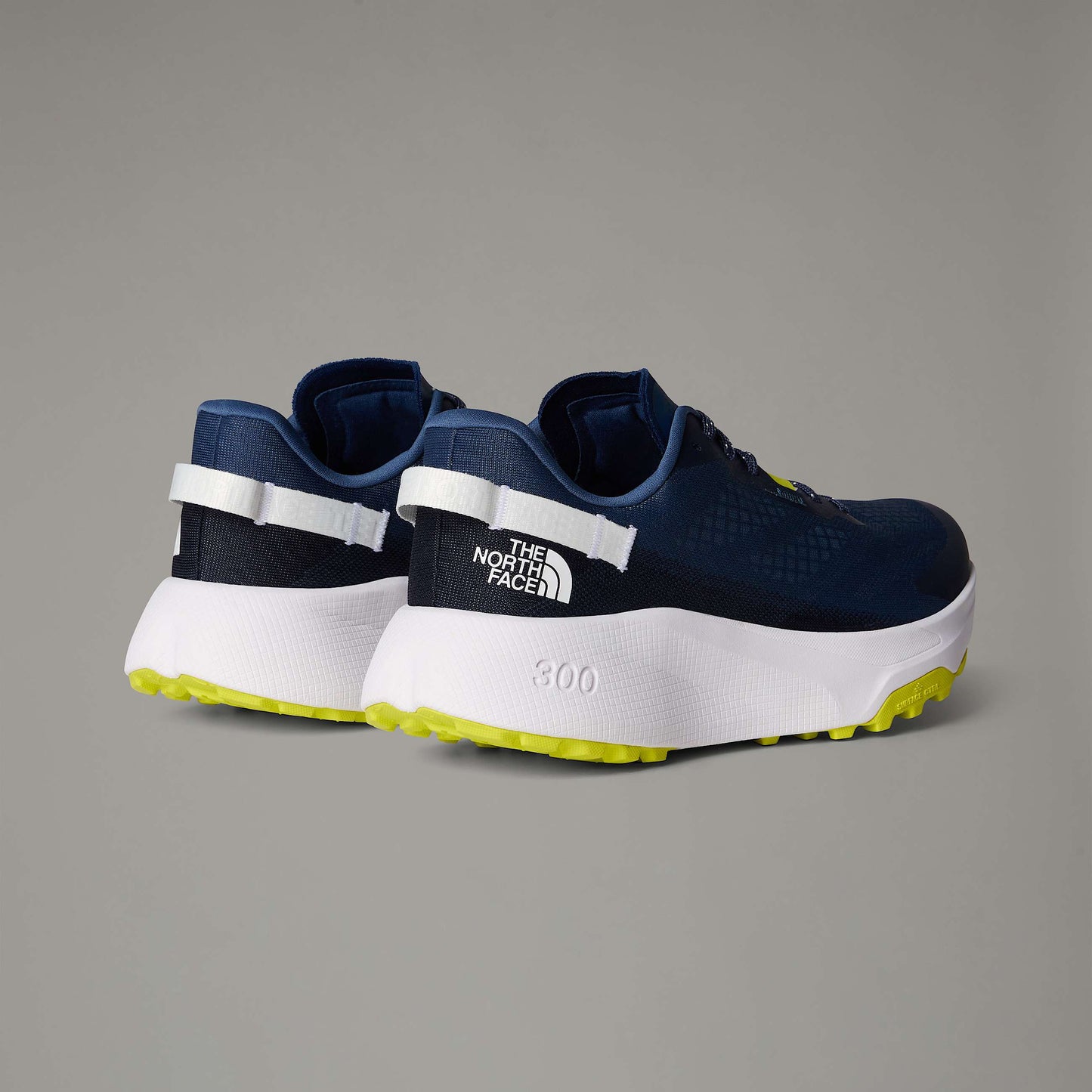 The North Face Altamesa 300 Men