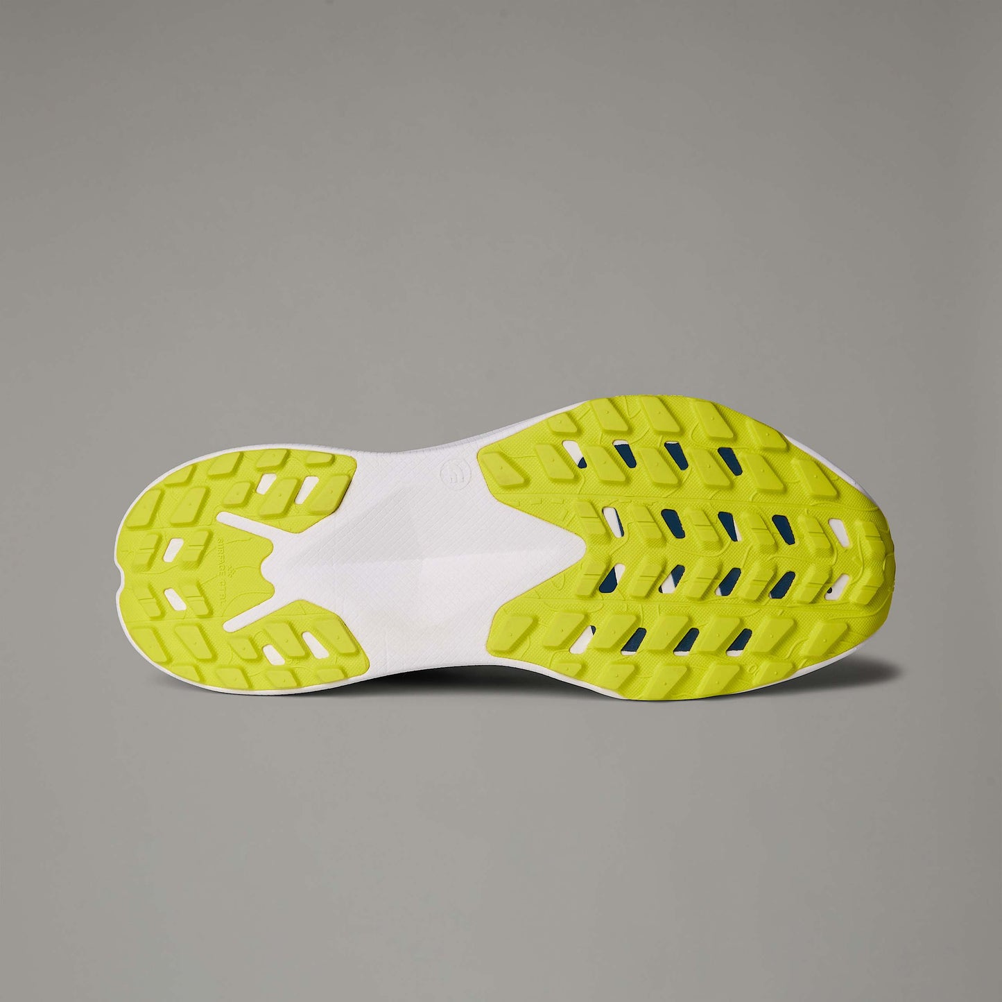 The North Face Altamesa 300 Men