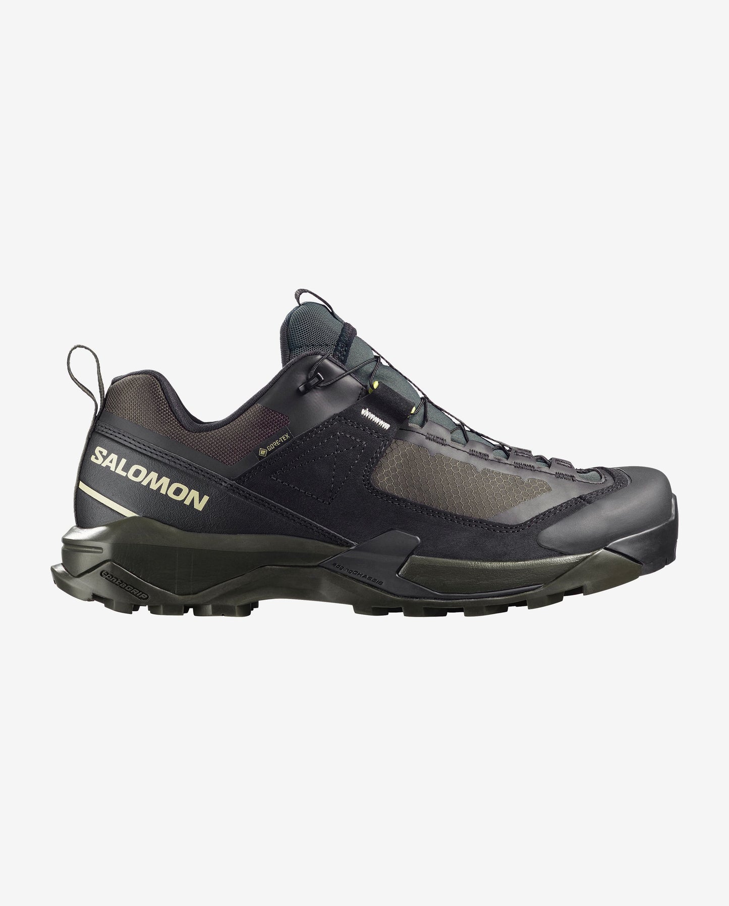 Salomon X Ultra Alpine GORE-TEX Men