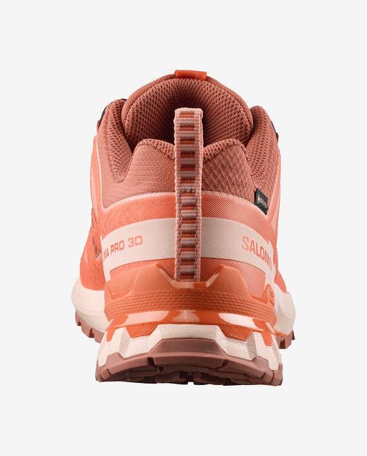Salomon XA Pro 3D V9 GORE-TEX Women
