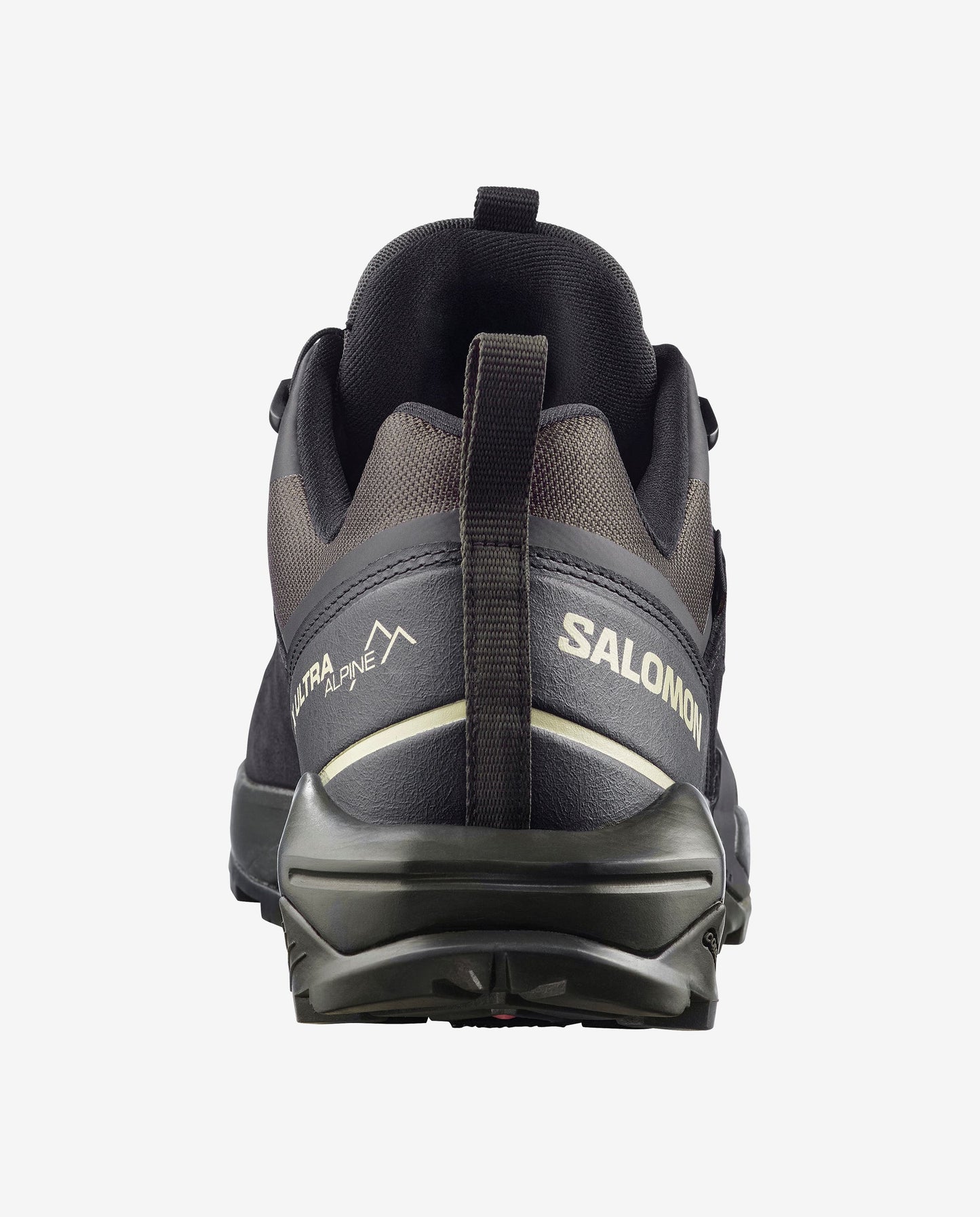 Salomon X Ultra Alpine GORE-TEX Men