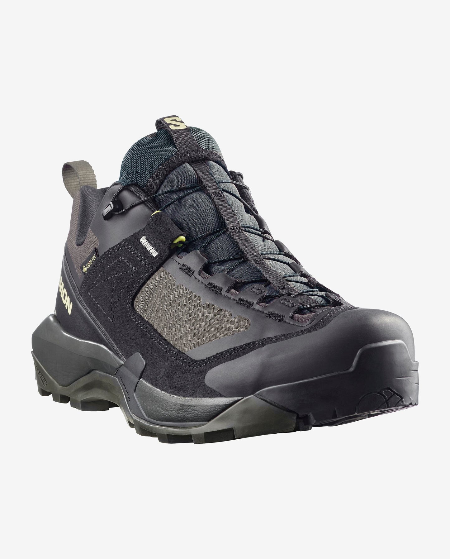 Salomon X Ultra Alpine GORE-TEX Men