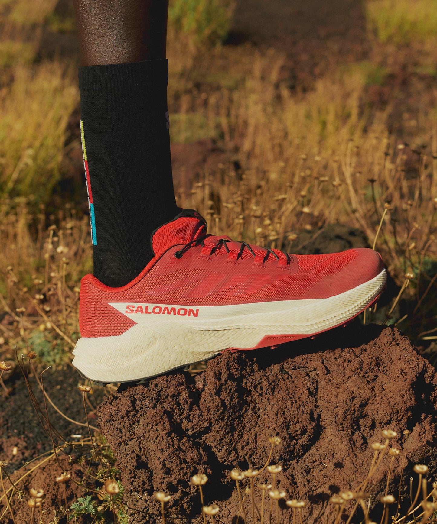 Salomon Pulsar Men