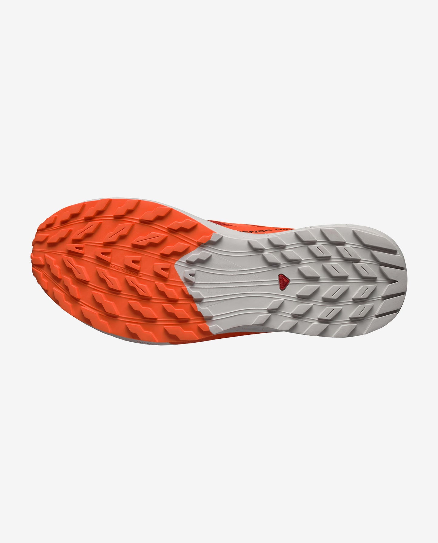 Salomon Sense Ride 5 Men