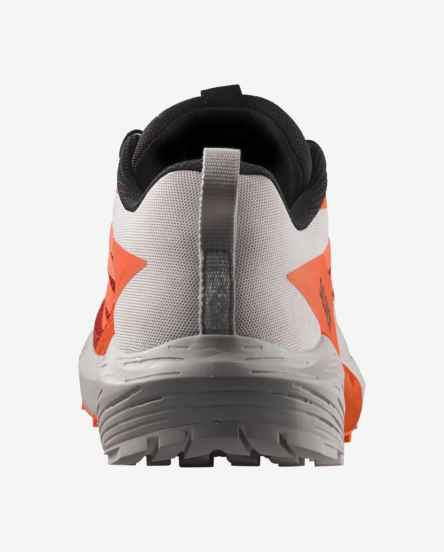 Salomon Sense Ride 5 Men