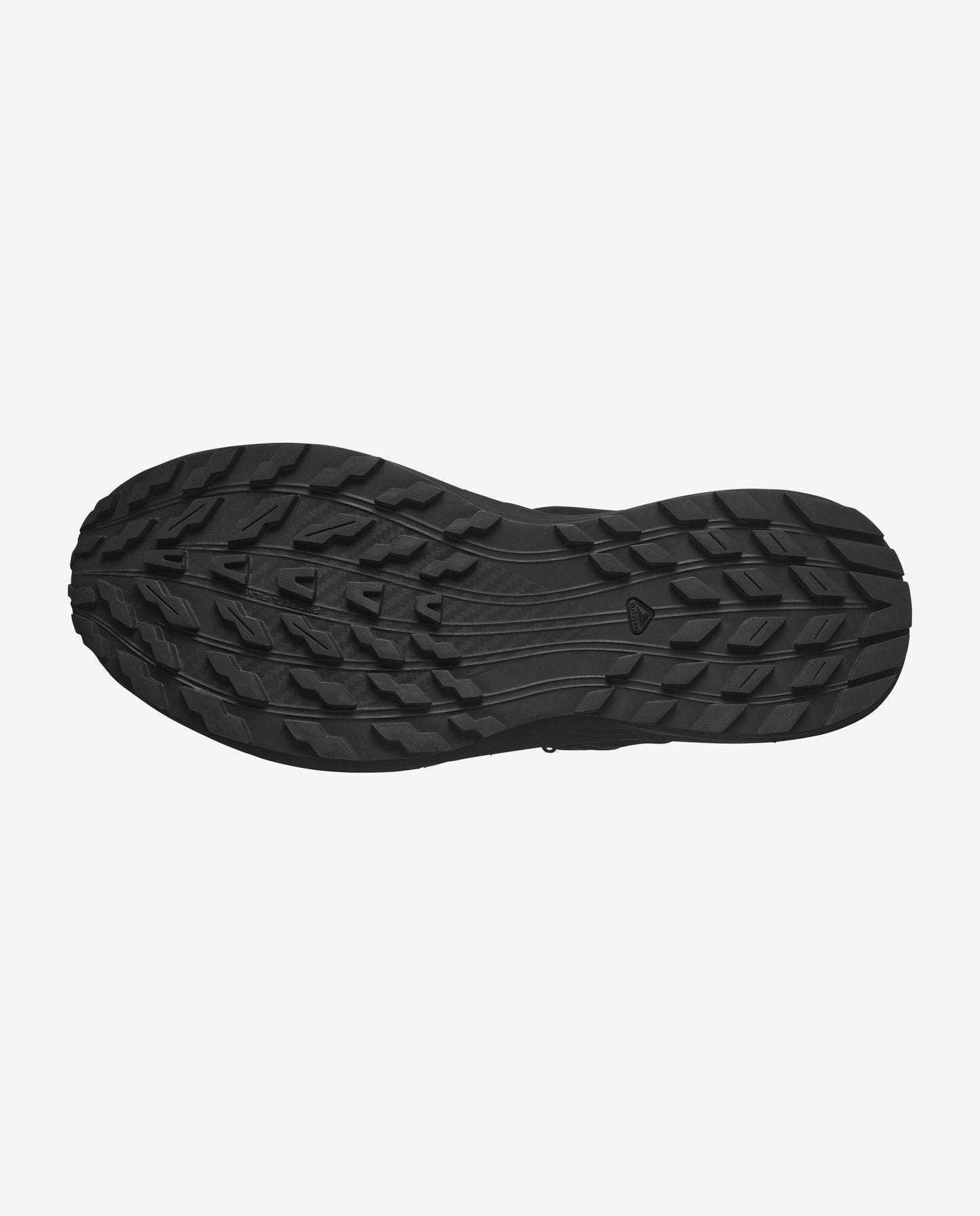 Salomon Sense Ride 5 SR Leather