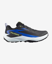 Black / Bluing / Acid Lime