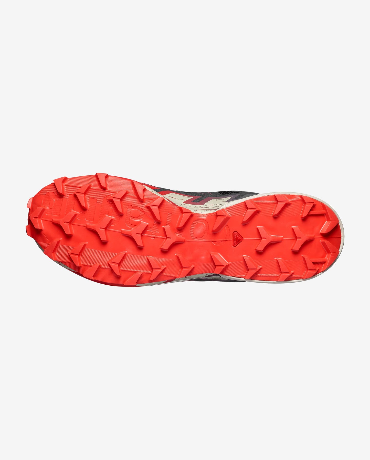 Salomon Speedcross 6 Men