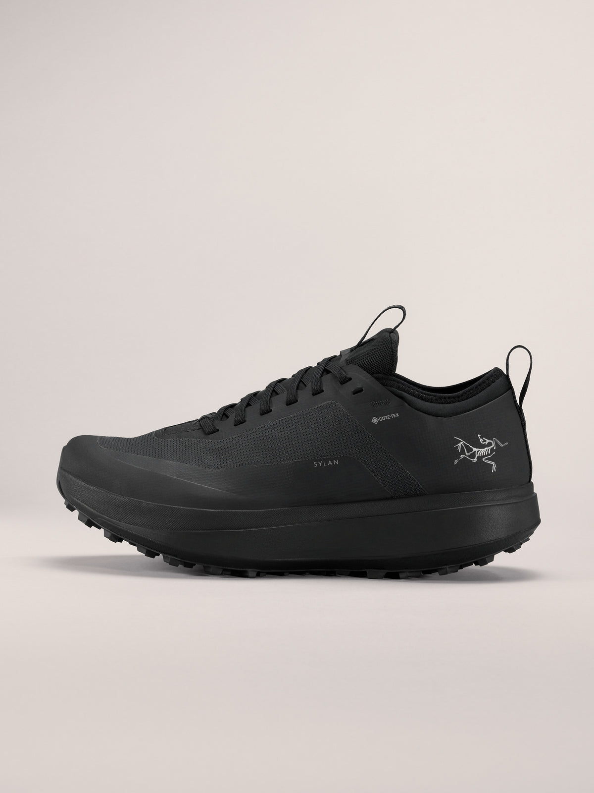 Arc'teryx Sylan GTX Shoe Men's product view 1 — Black/Black