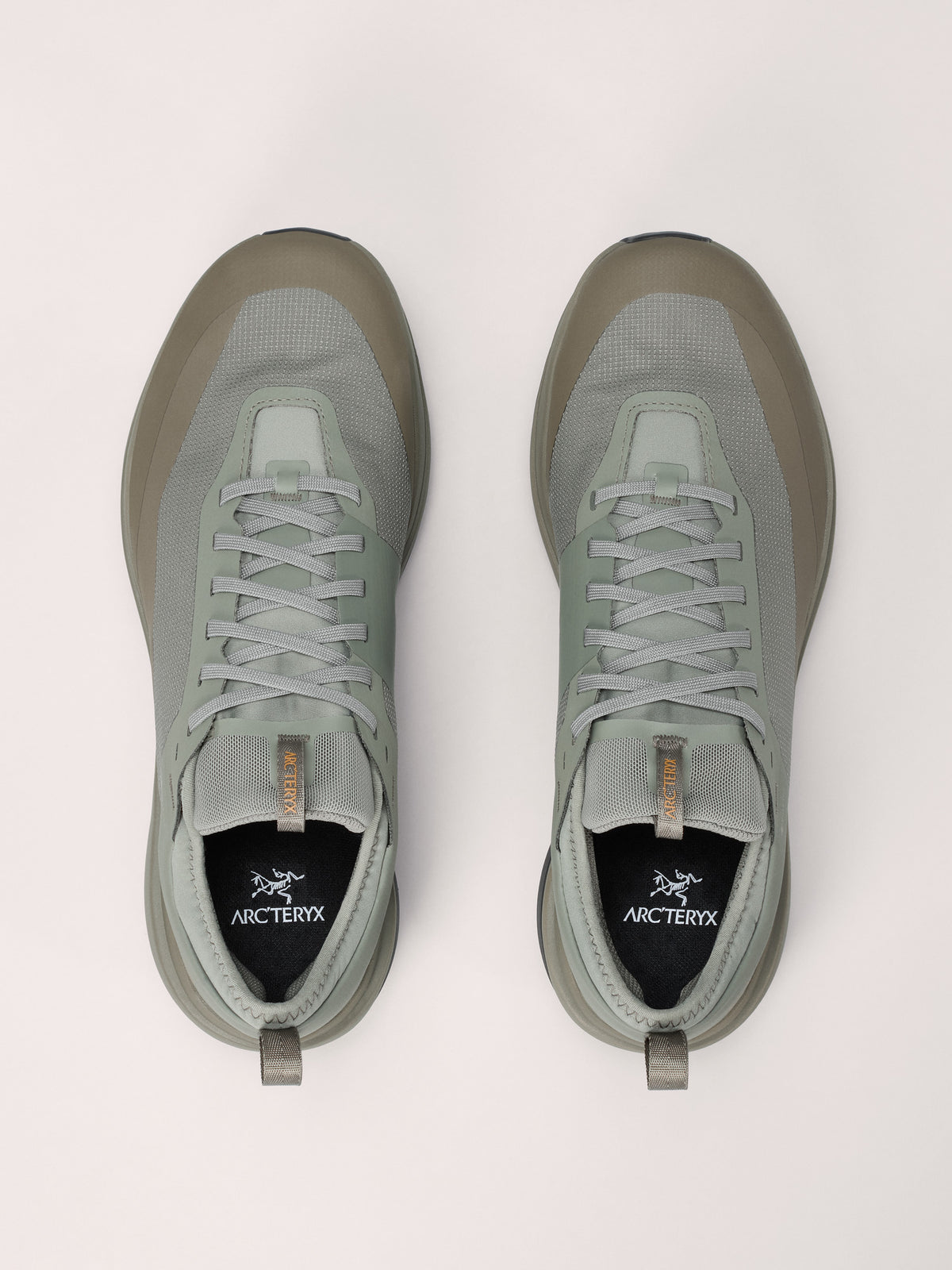 Arc'teryx Sylan GTX Shoe Men's product view 3 — Forage/Tatsu