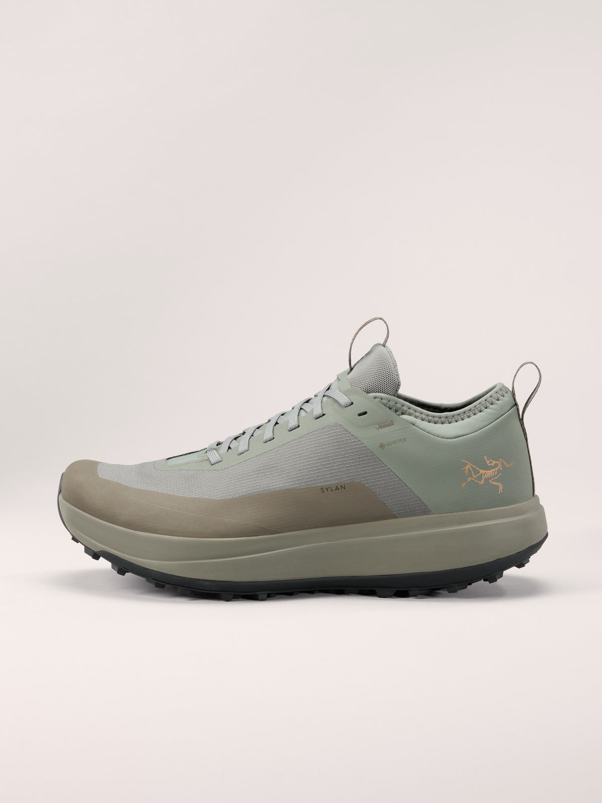 Arc'teryx Sylan GTX Shoe Men's product view 1 — Forage/Tatsu
