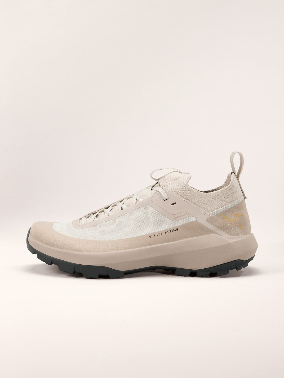 Arc'teryx Vertex Alpine GTX Shoe Men's product view 1 — Rune/Esoteric
