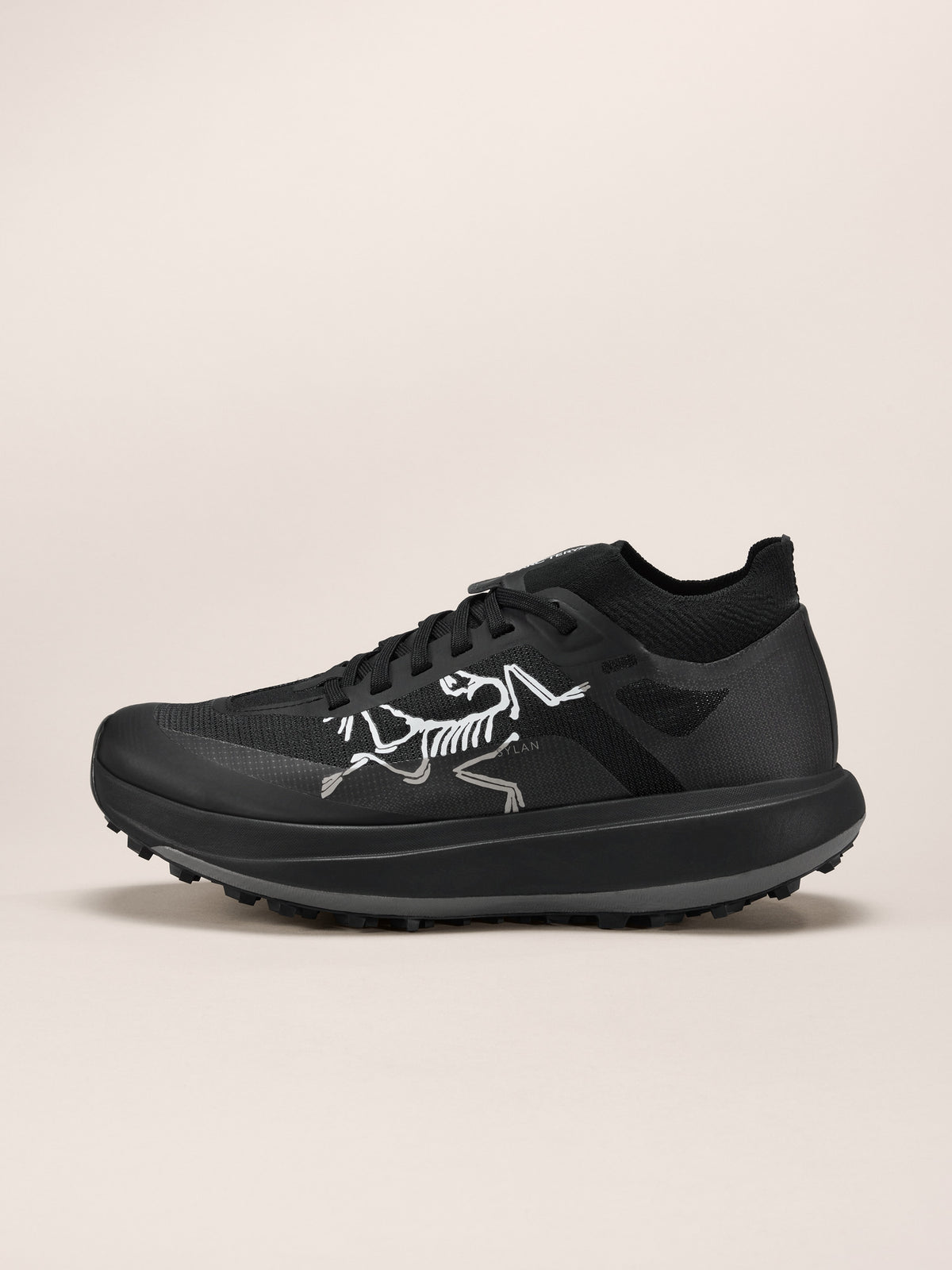 Arc'teryx Sylan Pro Shoe Women's product view 1 — Black/Black