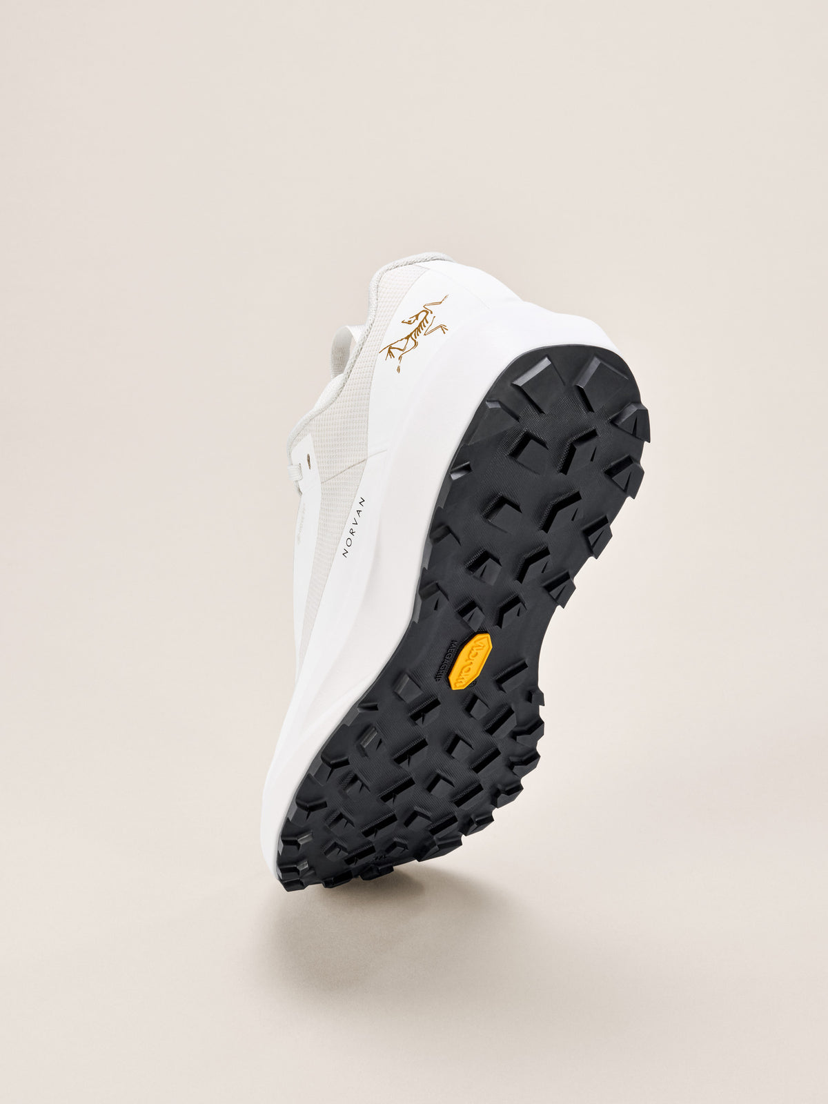 Arc'teryx Norvan LD 4 GTX Shoe Men's product view 4 — Arctic Silk/Arctic Silk
